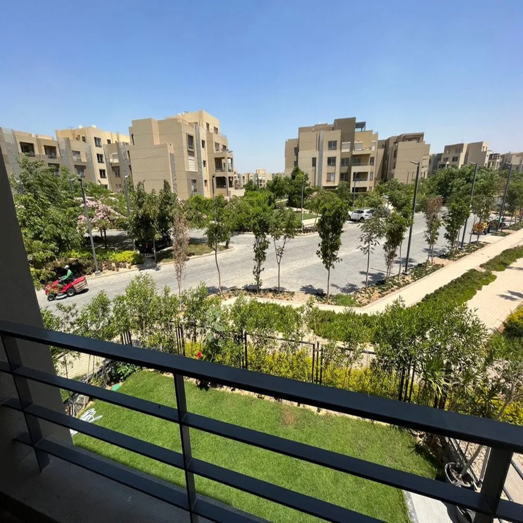 palm parks 5